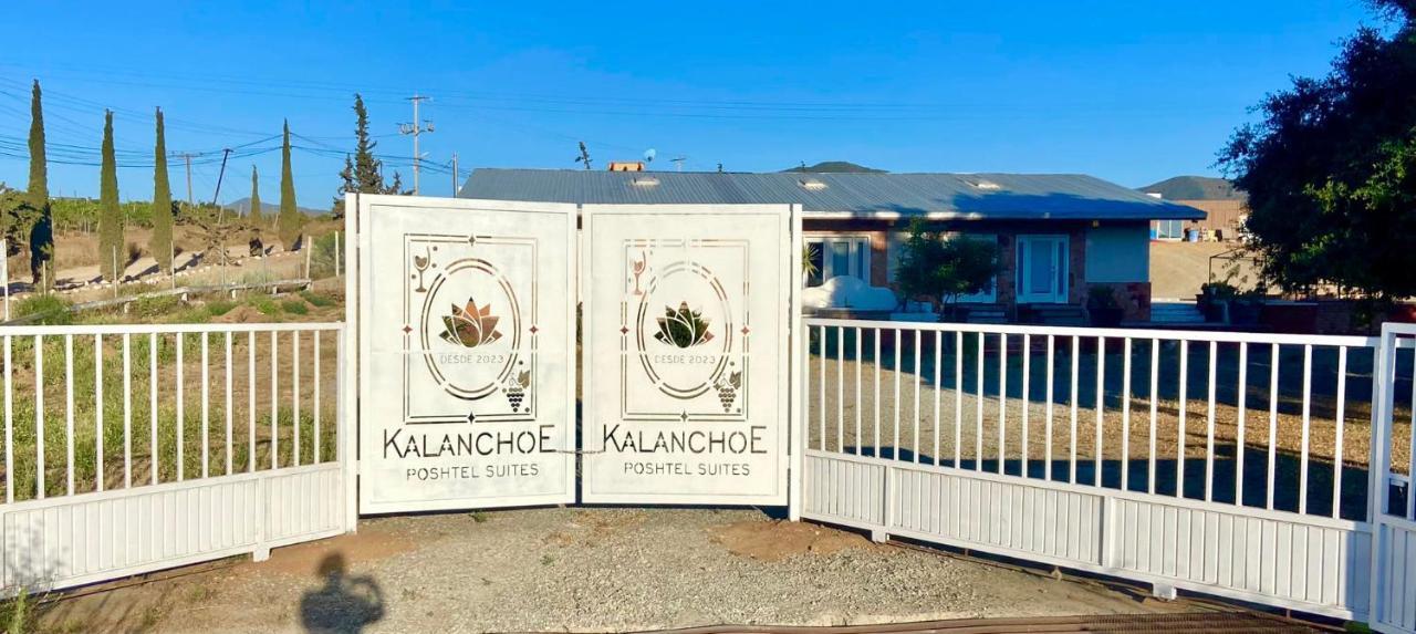 Kalanchoe Poshtel Suites Las Palmas  Kültér fotó