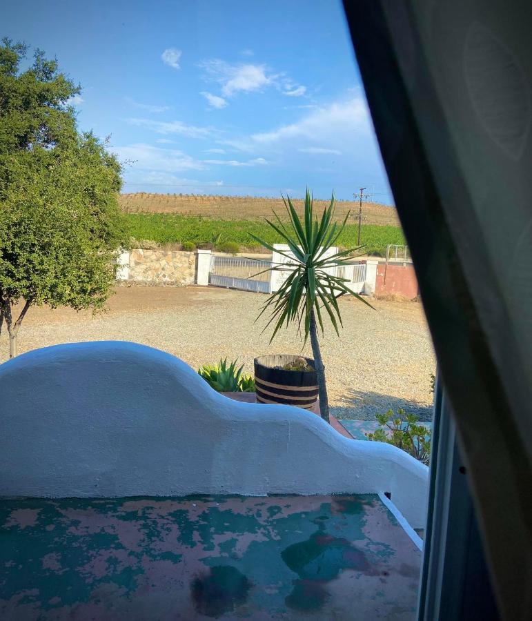 Kalanchoe Poshtel Suites Las Palmas  Kültér fotó
