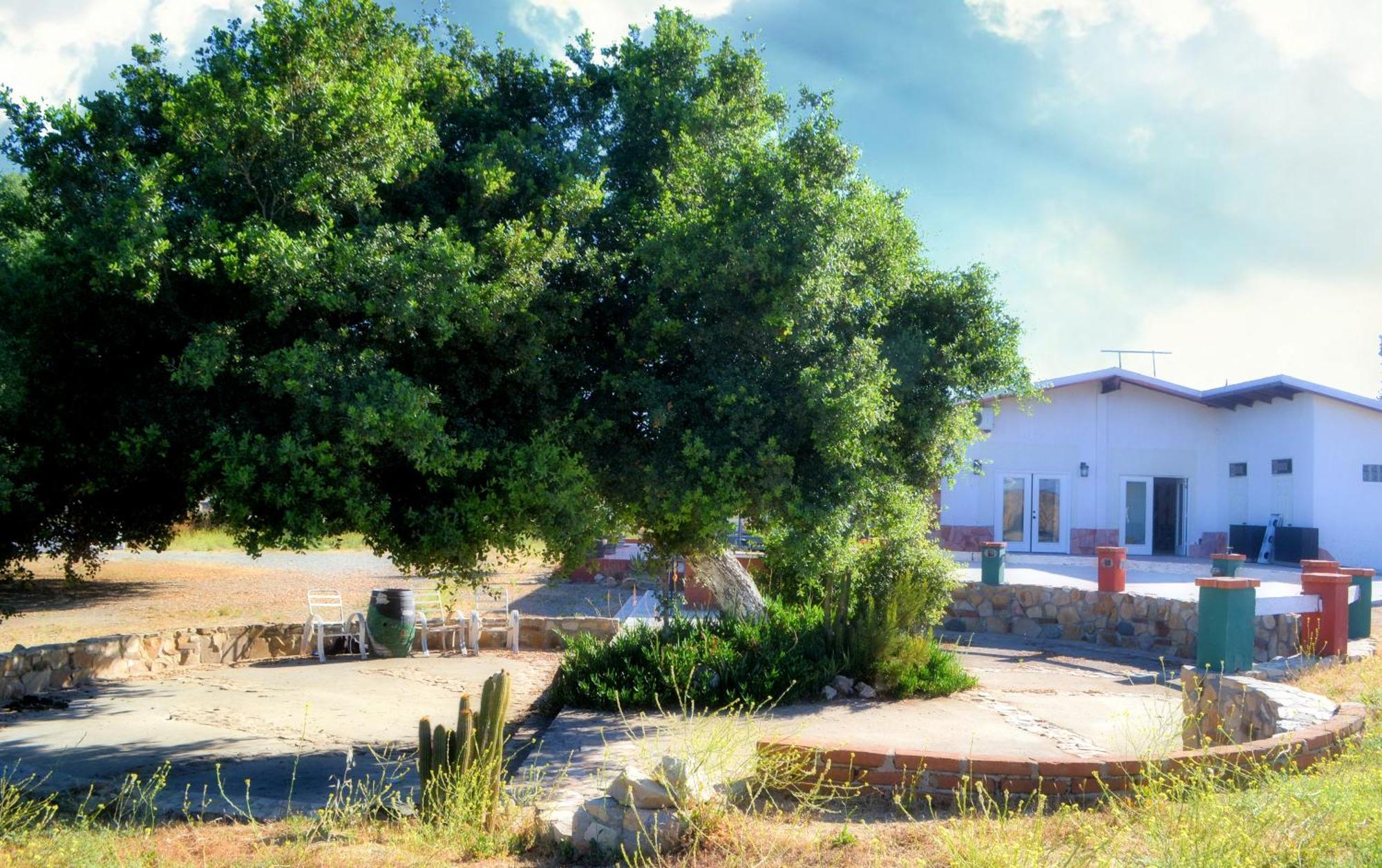 Kalanchoe Poshtel Suites Las Palmas  Kültér fotó